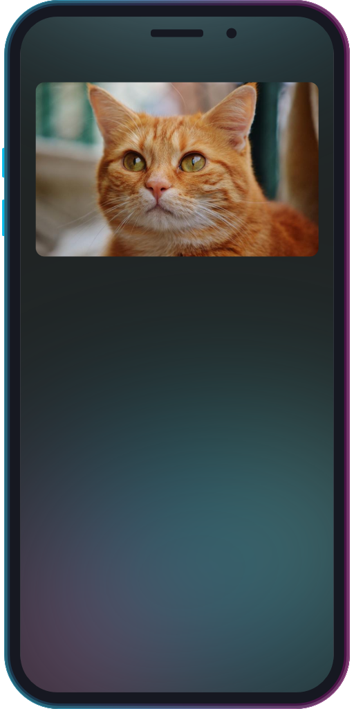 The app showing an image layer using the cat.jpg asset.