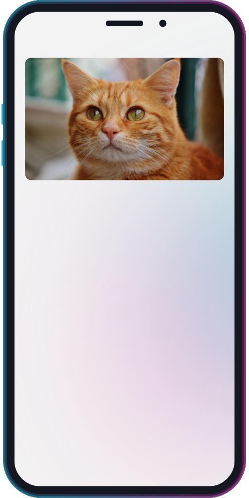 The app showing an image layer using the cat.jpg asset.