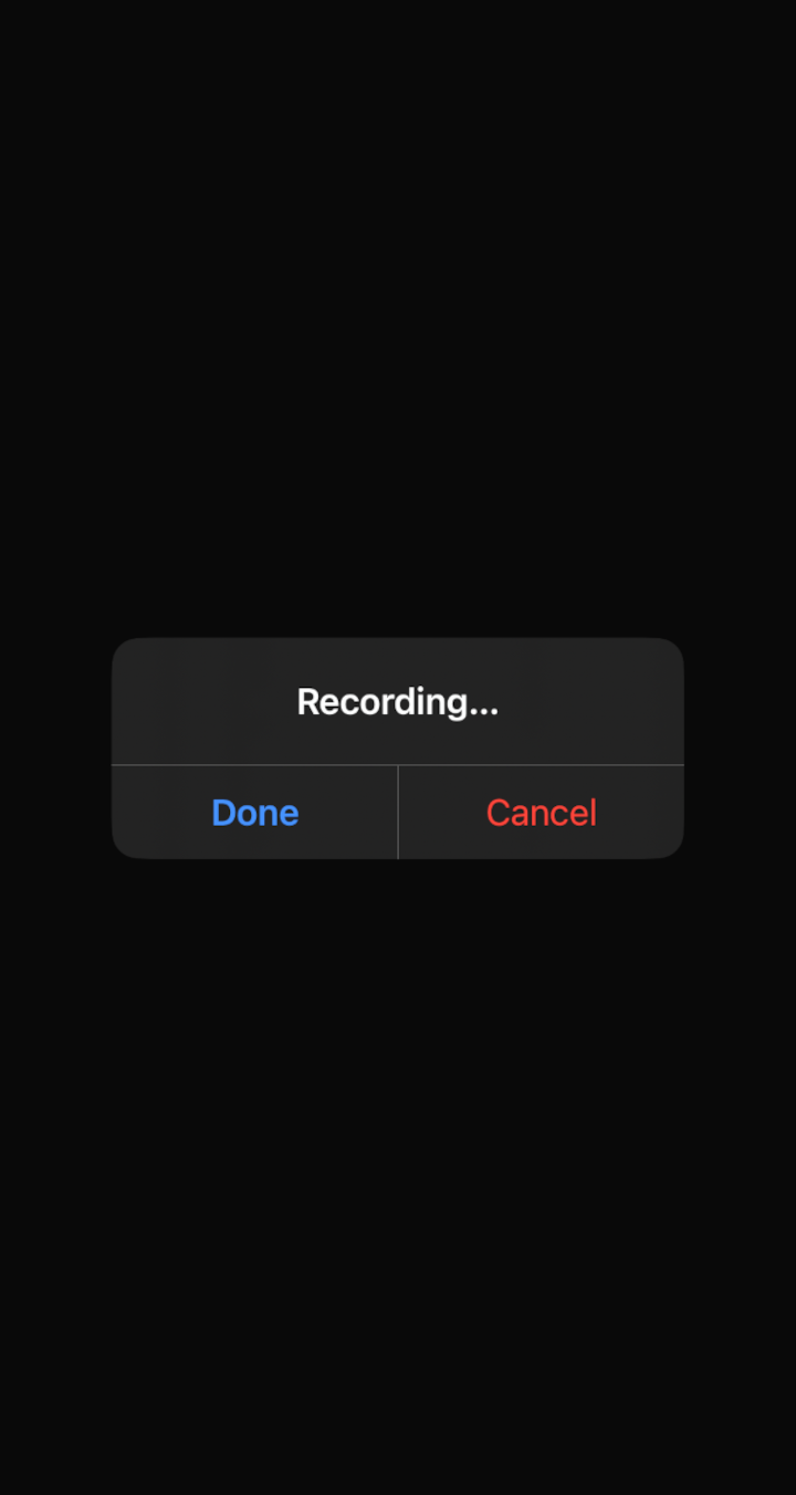 Screenshot of the app showing the results of the sample code from Example 1 on iOS.